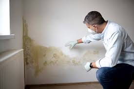 Best Asbestos and Lead Testing During Mold Inspection  in Navesink, NJ